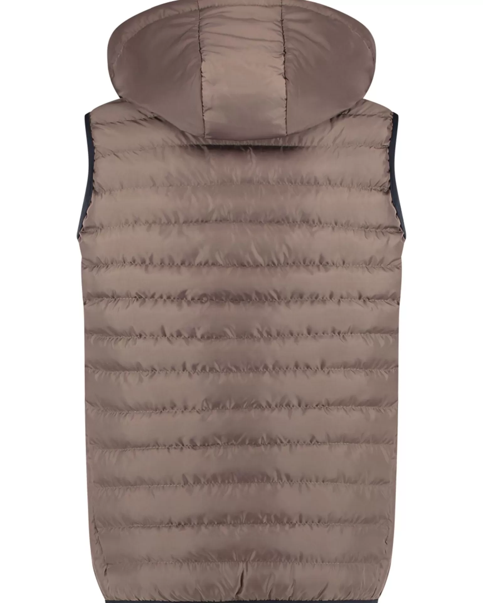 Bodywarmer>A Fish Named Fred Cheap