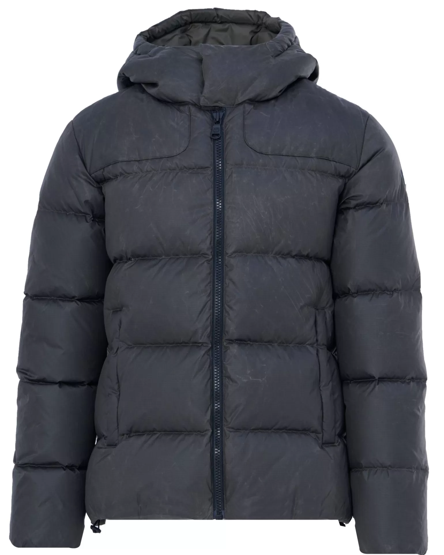 Gewatteerde Jas>Colmar New