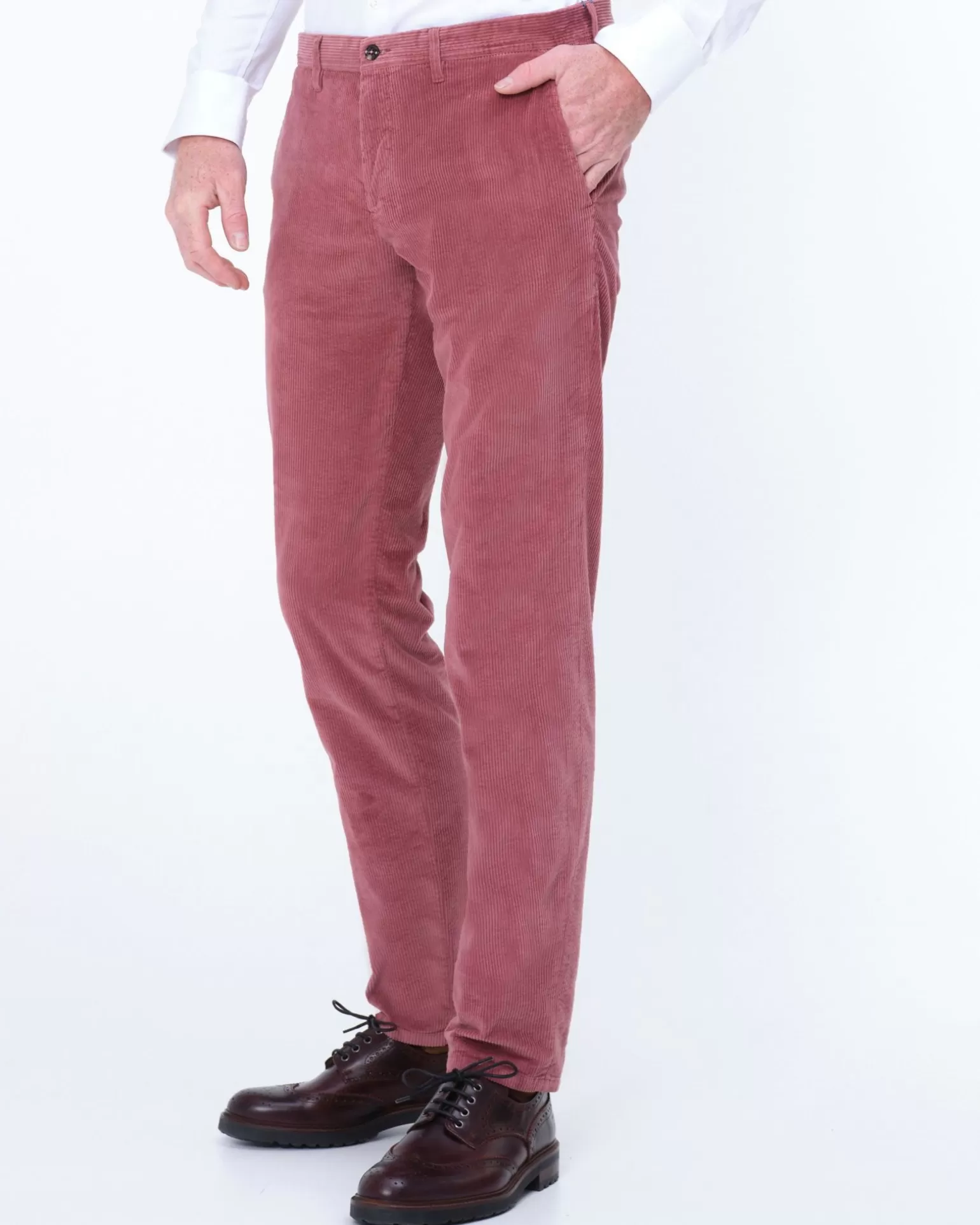 Dd203 Chino>Dutch Dandies Best