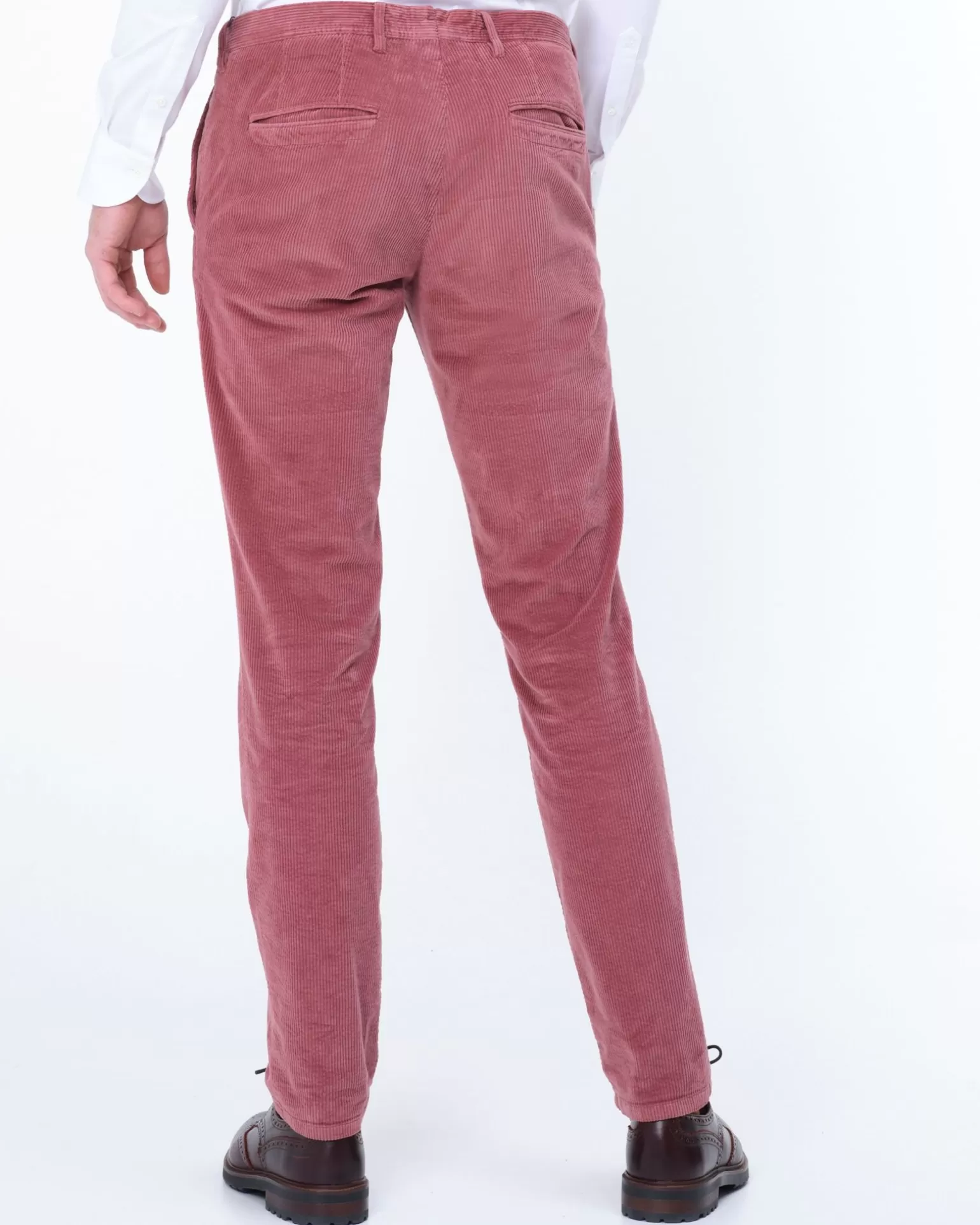 dutch_dandies_dd203_chino_2.webp Dd203 Chino>Dutch Dandies Best