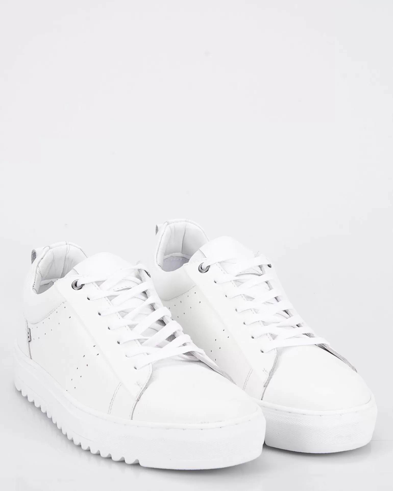 Sneakers>J.C. RAGS Flash Sale